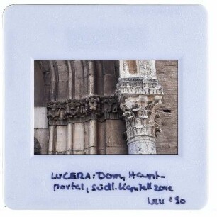 Lucera, Kathedrale : Detailansicht Kapitell Hauptportal
