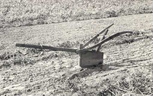 Holzpflug auf einem Feld bei Luppa : Drjewjany płuh na polu blisko Łupoje
