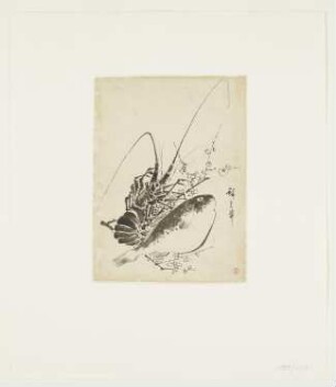 Languste und Fisch