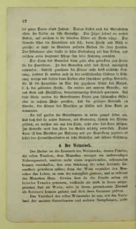 6. Der Weinstock