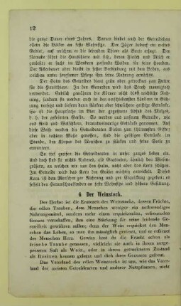 6. Der Weinstock