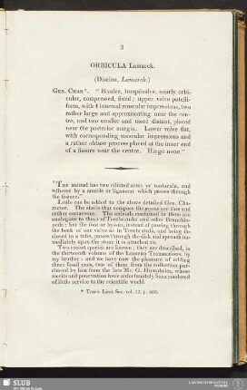 Orbicula Lamarck. (Discina, Lamarck.)