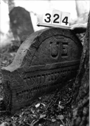 Grabstein 324 (Index: 99803502) Material: Sandstein Zustand: eingesunken mit Daten und Textverlust Maße HxBxT: 36x64x10 cm Beschreibung: Stele mit Karniesbogen, profilierter Rand, Giebelfeld: Grabstein 324