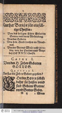 Kurtzer Bericht für einfältige Christen