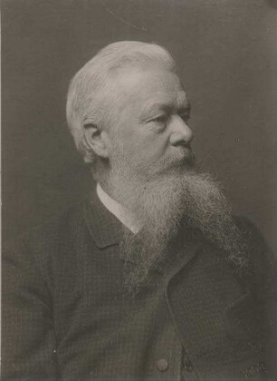 Gustav Theodor Fritsch