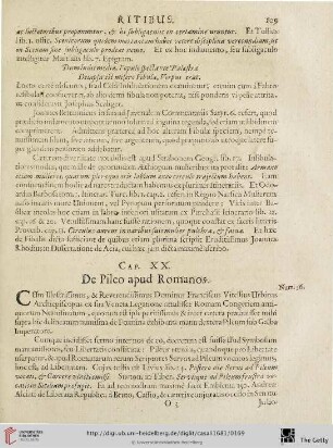 Cap. XX: De Pileo apud Romanos.