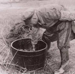 Fischer beim Netze teeren, um 1960