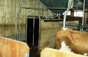 Fotografie: Precision Livestock Farming, Milchviehhaltung, Prozeßtechnik, Abrufstation