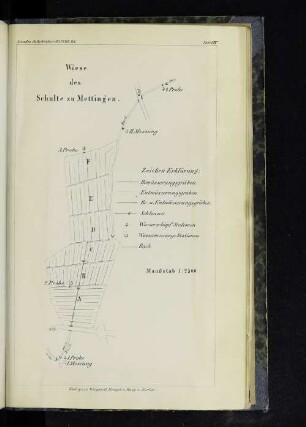 Tafel IX. Wiese des Schulte zu Mettingen.