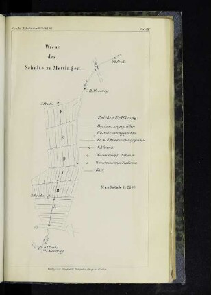 Tafel IX. Wiese des Schulte zu Mettingen.