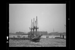 Godewind