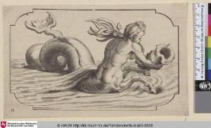 [In ein Muschelhorn blasender Triton]