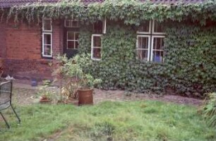 Fritz-Berodt-Straße 6: traufständiges Bauernhaus aus Backstein: rückwärtige Traufseite, Teilansicht: Gartentür, Fenster, an Fassade Kletterpflanzen: davor Traufkante mit Kopfsteinpflaster