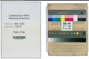 Entnazifizierung Fritz Palm , geb. 12.08.1900 (Giesser)