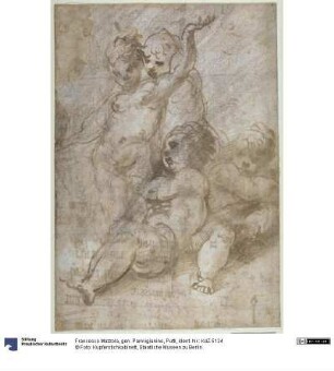 Putti