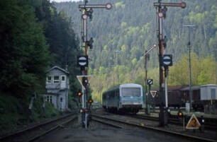 Calw VT 628 254 E3667 Stw Ausfahrsignale