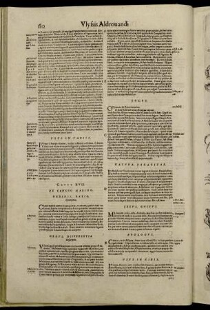 Caput XVII. De Cancro Marino.