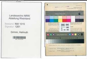 Entnazifizierung Helmuth Grimm , geb. 20.10.1900 (Feuerwehrmann)