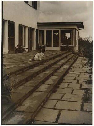Garten von Dombois, Ermatingen am Bodensee: Terrasse mit Stufen, Hund