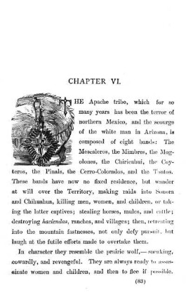 CHAPTER VI. - The Apaches. ? The Terror of the Settler.? The Scourge of the White Man. ? Eight Bands. ? Their Location. ? Their Depredations.?Their War Chiefs.?The Tribe as now constituted. ? Their Numbers. ?