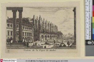 Veduta de la Vigna de Medici
