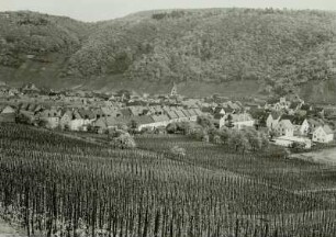Winningen. Ortsansicht mit Weinbergen