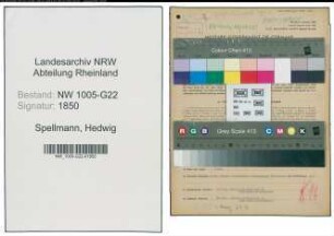Entnazifizierung Hedwig Spellmann , geb. 31.10.1896 (Kaufmann)