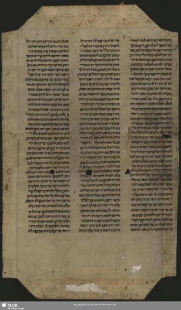 86: Aus einem Kommentar zum Talmud Bavli, Gittin - Mscr.Dresd.R.52.o,Nr.86 : [Fragment]