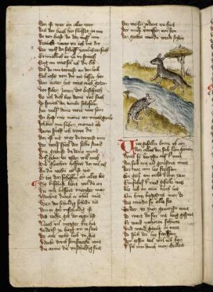 Wolf und Schaf am Fluss; (Vom Wolf und dem Schaf, Kapitel V nach Pfeiffer)