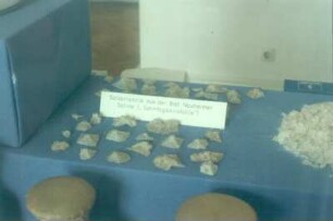 Bad Nauheim. Salzmuseum. Vitrine mit Salzkristallen einer Nauheimer Saline