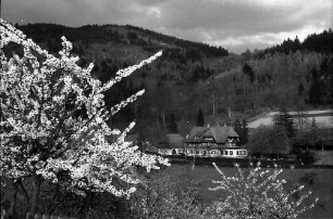 Freiburg i. Br.: Blick aufs Jägerhäusle