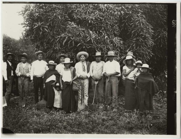 Un groupe d'ouvriers agricoles