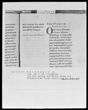 Bibliorum sacrorum pars, libri prophetarum — Initiale O(nus ninive), Folio 247recto