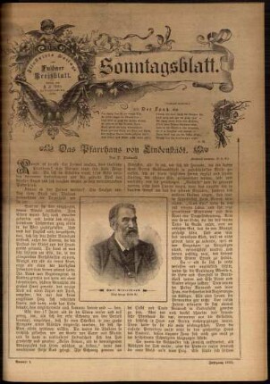 Ausgabe vom Sonntag, den 06. Januar 1895.