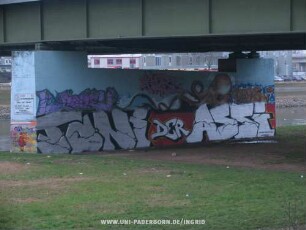 TONi DER ASSi