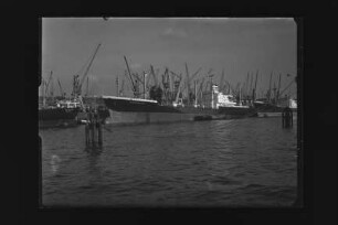Frankfurt (1967), Hapag.- Hamburg-Amerikanische Packetfahrt-Actien-Gesellschaft, Hamburg, Hapag-Lloyd AG, Hamburg