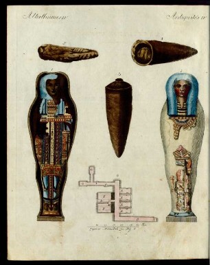 Egyptische Mumien.