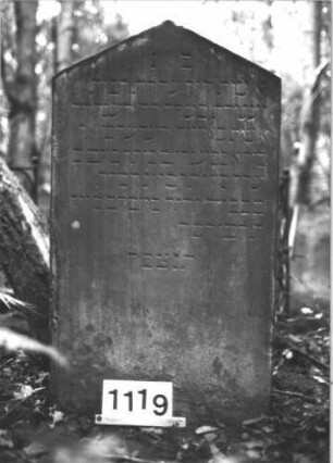 Grabstein 1119 (Index: 99899800) Material: Sandstein Zustand: angewittert Maße HxBxT: 108x62x10 cm Beschreibung: Stele mit Dreiecksabschluss: Grabstein 1119