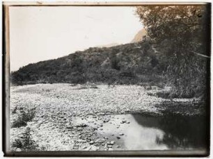 Landschaft
