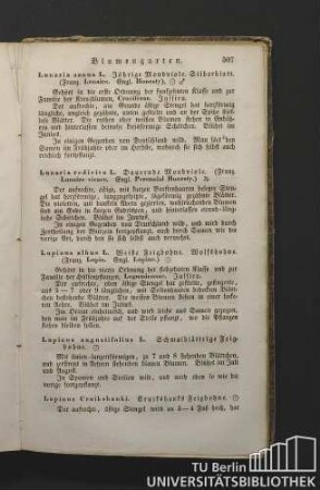 Lunaria annua L. Jährige Mondviole. Silberblatt. (Franz. Lunaire. Engl. Honesty.)