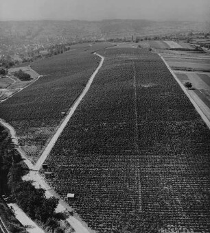Archivfotografie "kraichgau_zeutern_3793"