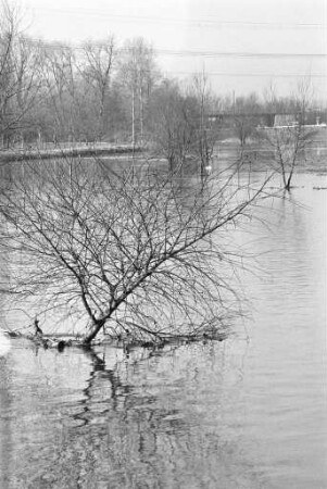 Hochwasser von Rhein und Alb