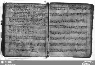 Knüpfer, Sebastian: Quemadmodum desiderat cervus
