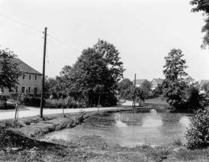 Dorfteich in Langenwolmsdorf