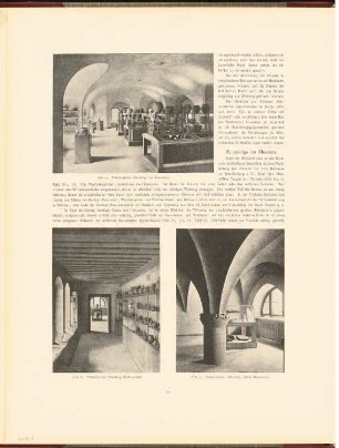 Märkisches Museum, Berlin: Innenansichten prähistorische Abteilung (aus: Neubauten der Stadt Berlin, Bd. VIII, 1909)
