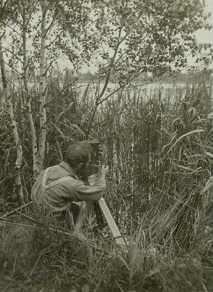 Rudolf Zimmermann filmt : Der bekannte Tierfotograf Rudolf Zimmermann filmt an einem Drosselrohrsängernest