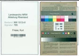 Entnazifizierung Kurt Friese , geb. 25.04.1893 (Schlosser)