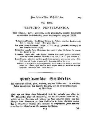 Tab. XXIV. Testudo Pensylvanica : Pensylvanische Schildkröte