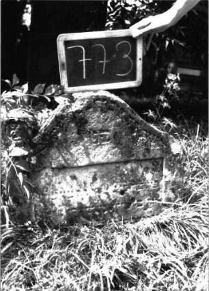 Grabstein 773 (Index: 100104705) Material: Sandstein Zustand: stark verwittert, eingesunken, fast völliger Textverlust Maße HxBxT: 52x59x14 cm Beschreibung: Stele, etwas überhöhter Konvexbogenabschluss, auf den Einzügen runde Blütenaufsätze (rechts nicht erhalten), Inschriftenfeld rechteckig eingetieft, eingesunken Symbolik: Blütenaufsätze: Grabstein 773