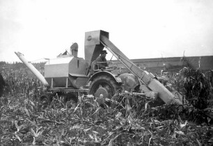 Eicher GT als Pflückrebler